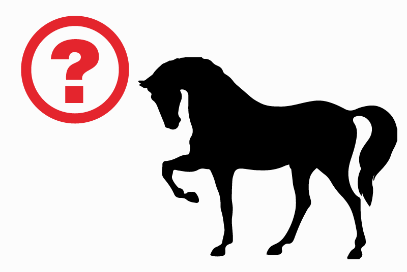 Ontdekkingsalarm Paard Mannetje Vicq-Exemplet Frankrijk